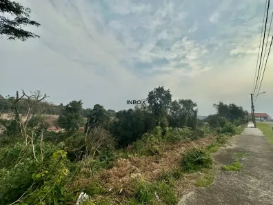 Lote/Terreno à venda, 2150m² no Santa Rita, Bento Gonçalves
