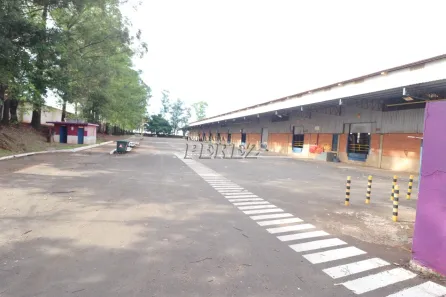 Galpão/Depósito/Armazém para alugar, 6500m² no Estância Dlaville, Londrina