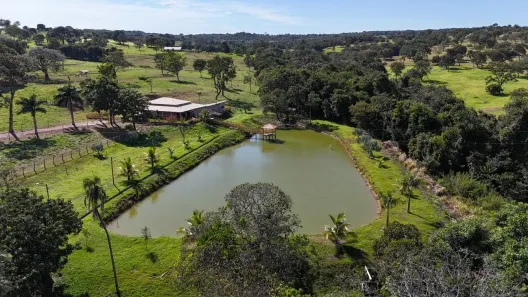 Fazenda/Sítio com 3 Quartos à venda, 443828m² no , Mairipotaba
