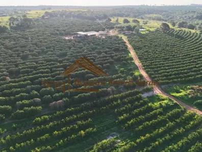 Fazenda/Sítio à venda, 1m² no , Ubirajara