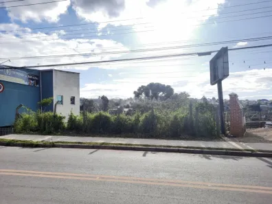 Lote/Terreno para alugar, 466m² no Ferraria, Campo Largo