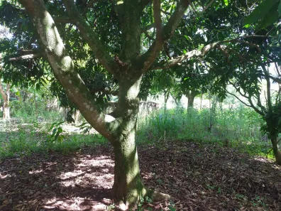 Lote/Terreno à venda no Cristal Park, Santana de Parnaíba