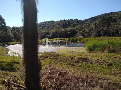 Fazenda/Sítio com 4 Quartos à venda, 3872000m² no Área Rural de São José dos Pinhais, São José dos Pinhais