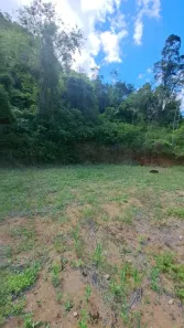 Fazenda/Sítio à venda, 4000m² no , Fundão