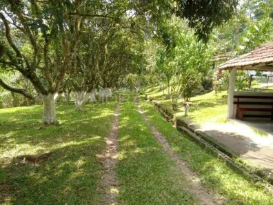 Fazenda/Sítio com 4 Quartos à venda, 700m² no Canaã, Jambeiro