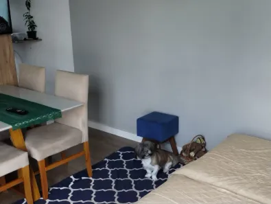 Apartamento com 2 Quartos à venda, 44m² no Parque Ipê, São Paulo