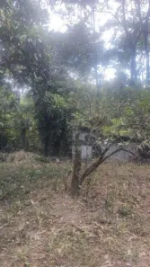 Lote/Terreno à venda, 7963m² no Serra Grande, Niterói