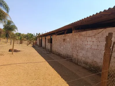 Fazenda/Sítio com 3 Quartos à venda, 45000m² no Planaltina, Brasília