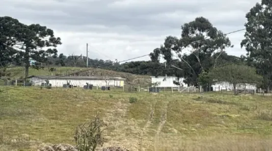 Fazenda/Sítio com 1 Quarto à venda, 188453m² no Nova Sardenha, Farroupilha