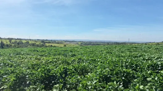 Lote/Terreno à venda, 300000m² no Vila Jardini, Sorocaba