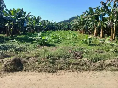 Lote/Terreno à venda, 600m² no Gaivota (Interior), Itanhaém