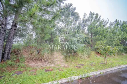 Lote/Terreno à venda, 660m² no Mato Queimado, Gramado