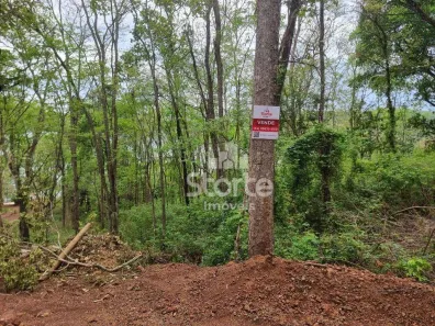Fazenda/Sítio à venda, 100m² no Custódio Pereira, Uberlândia