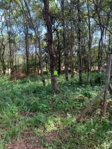 Lote/Terreno à venda, 1160m² no Canto do Riacho, Lagoa Santa