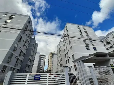 Apartamento com 2 Quartos para alugar, 50m² no Ipiranga, São José