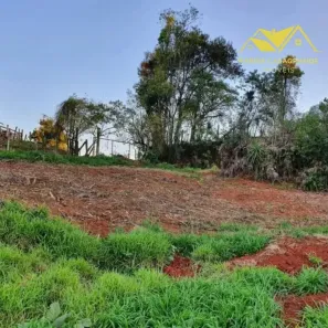 Lote/Terreno à venda, 32000m² no Centro, Campo Magro
