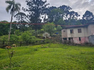 Fazenda/Sítio com 3 Quartos à venda, 4000m² no , Santa Tereza