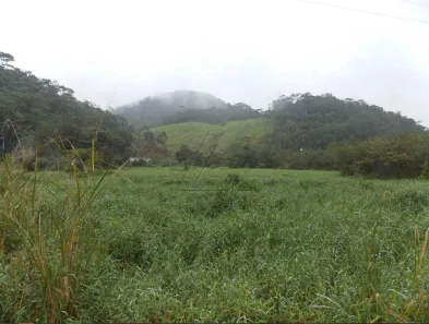 Fazenda/Sítio com 2 Quartos à venda, 173000m² no , Juquiá