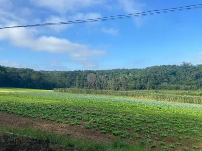 Lote/Terreno à venda, 194m² no Parque Santa Rosa, Suzano