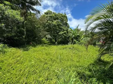 Lote/Terreno à venda, 1245m² no Praia de Fora, Palhoça
