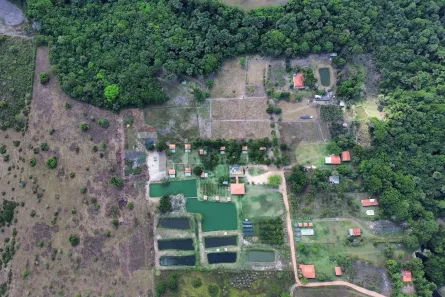 Fazenda/Sítio com 2 Quartos à venda, 212m² no Loteamento Araguaína Sul, Araguaína