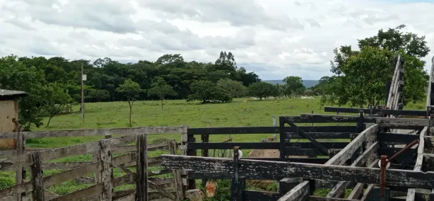 Fazenda/Sítio com 1 Quarto à venda, 5000m² no Girassol, Cocalzinho de Goiás