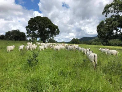 Fazenda/Sítio com 3 Quartos à venda, 200m² no Centro, Lassance
