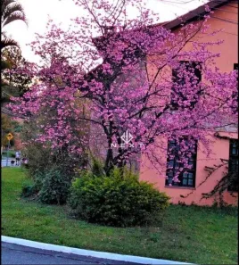 Casa de Condomínio com 4 Quartos à venda, 461m² no Morada dos Pinheiros (Aldeia da Serra), Santana de Parnaíba