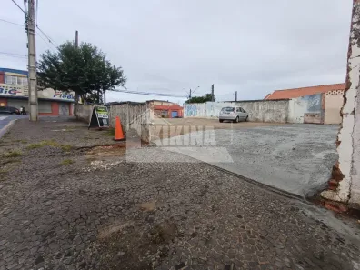 Lote/Terreno para alugar, 260m² no Uvaranas, Ponta Grossa