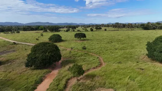 Fazenda/Sítio com 4 Quartos à venda, 6000m² no , Jussara