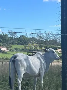 Fazenda/Sítio com 3 Quartos à venda, 1258400m² no , Araruama