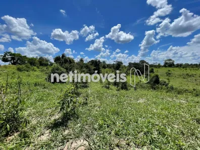 Fazenda/Sítio à venda, 295500m² no , Florestal