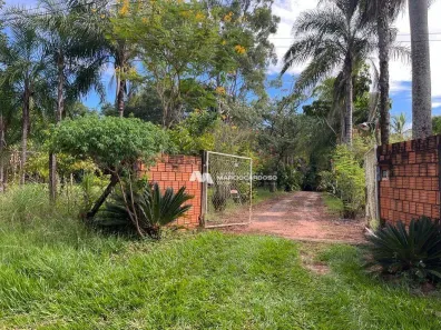 Fazenda/Sítio com 3 Quartos à venda, 200m² no Terra de São Lucas (Zona Rural), São José do Rio Preto
