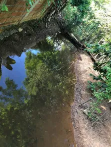 Fazenda/Sítio com 2 Quartos à venda, 80m² no Residencial Prefeito Ely Rocha, Piracanjuba
