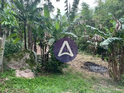 Lote/Terreno à venda, 915m² no Pântano do Sul, Florianópolis