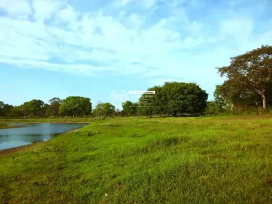 Fazenda/Sítio com 3 Quartos à venda, 107000000m² no Nhecolândia, Corumbá