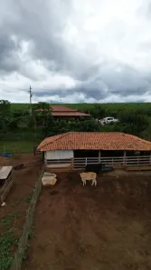 Fazenda/Sítio com 3 Quartos à venda, 36300m² no , Altinópolis