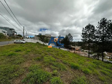 Lote/Terreno à venda, 600m² no Alphaville - Lagoa dos Ingleses, Nova Lima