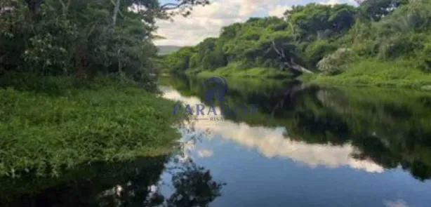 Fazenda/Sítio à venda, 2350000m² no , Morro do Chapéu