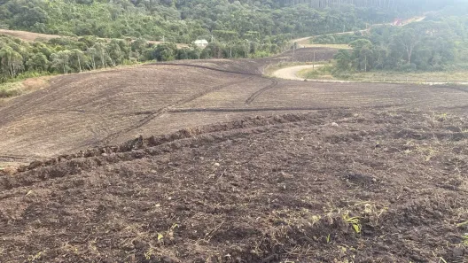 Fazenda/Sítio à venda, 31000m² no , Alfredo Wagner