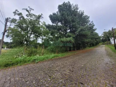 Lote/Terreno à venda, 746m² no Vinhedos, Caxias do Sul