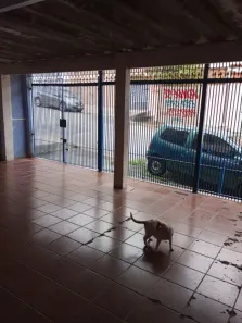 Casa com 3 Quartos à venda, 156m² no Jardim D'Abril, Osasco