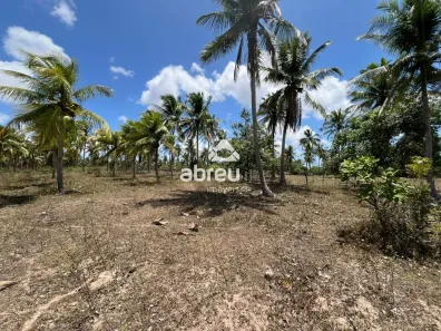 Lote/Terreno à venda, 16128m² no , Nísia Floresta