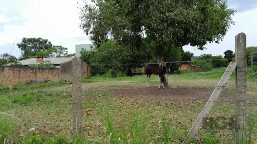 Lote/Terreno à venda, 1000m² no Lageado, Porto Alegre