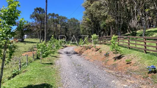 Lote/Terreno à venda, 99363m² no São Miguel, Campo Alegre