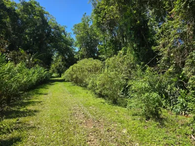 Fazenda/Sítio com 1 Quarto à venda, 5000m² no , Paraty