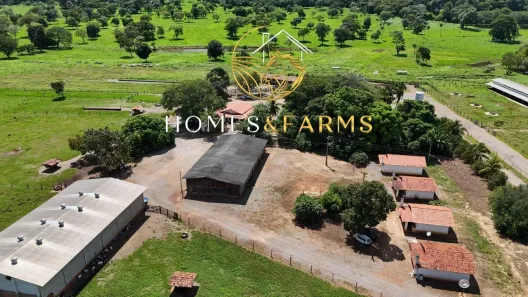 Fazenda/Sítio com 3 Quartos à venda, 600m² no Natividade, Natividade