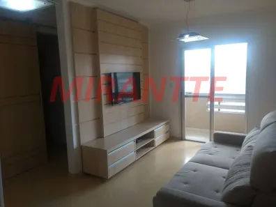 Apartamento com 3 Quartos à venda, 80m² no Vila Paulicéia, São Paulo