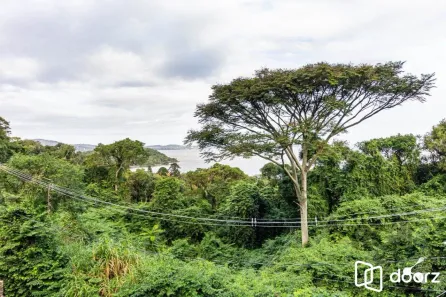Lote/Terreno à venda, 1236m² no Sétimo Céu, Porto Alegre