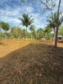 Fazenda/Sítio com 2 Quartos à venda, 990m² no Área Rural de Manaus, Manaus